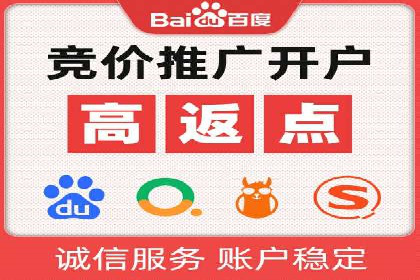 百度SEO推广成功案例：品牌知名度提升
